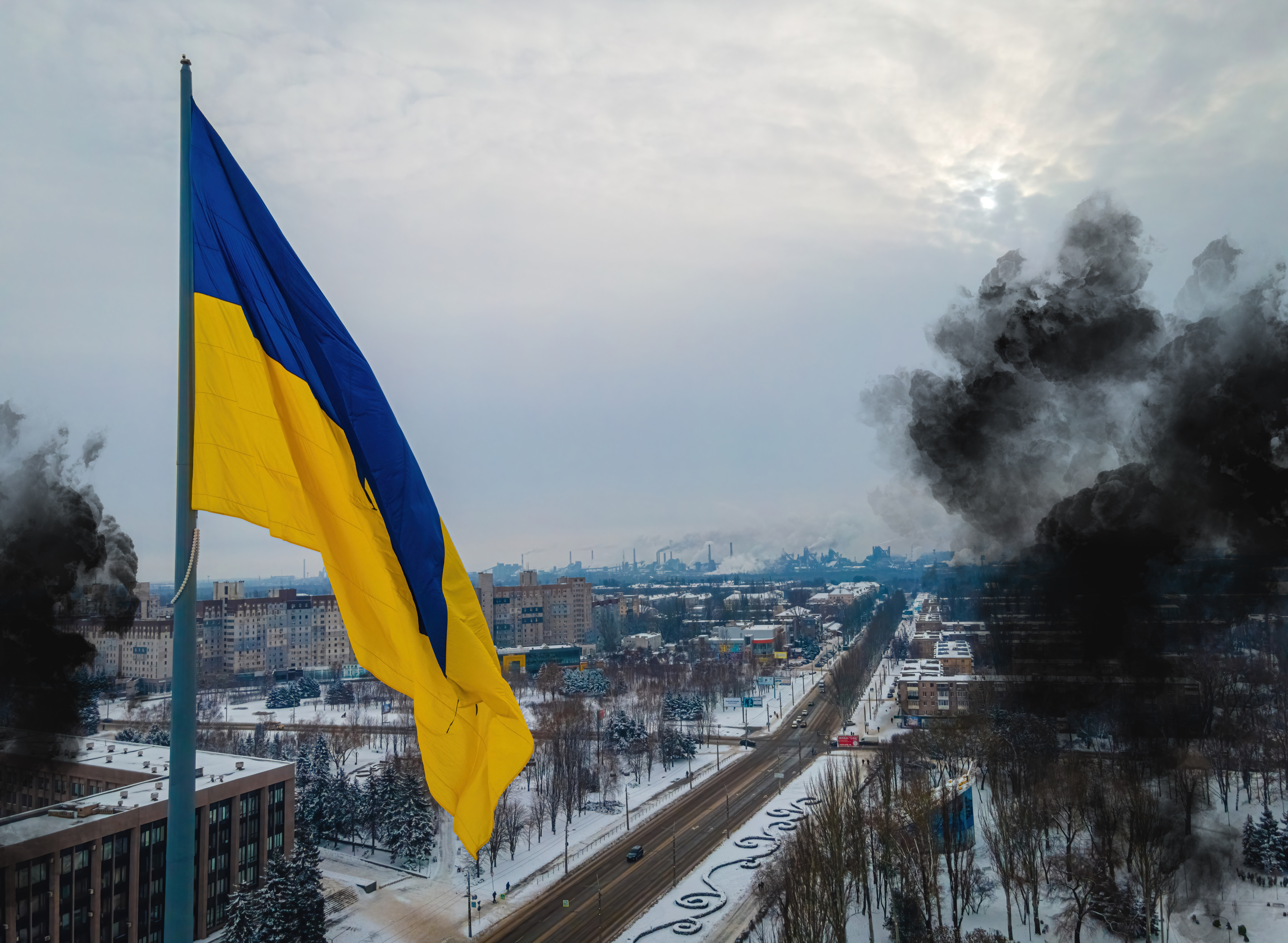 Ukraine Flagge im Winter